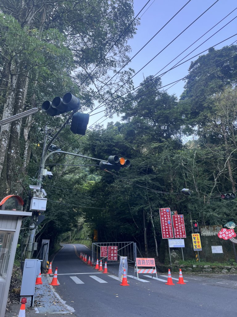 2025/08/17塔塔加、麟趾山、大鐵杉_2891608