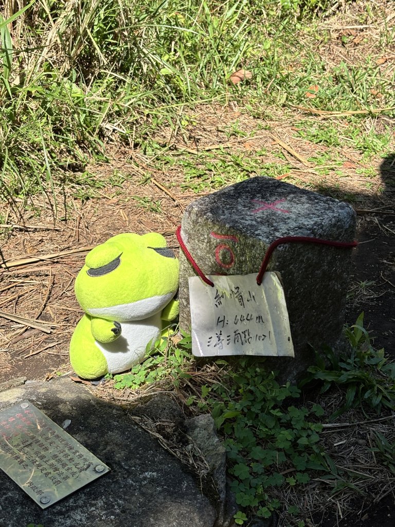 天母古道 + 紗帽山封面圖