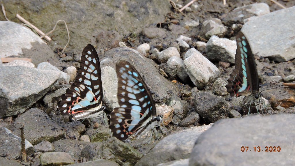 就是喜歡這個藍天白雲的FU_1032122