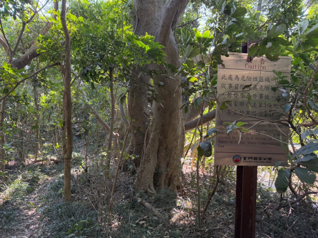 太武山大縱走路線_2692296