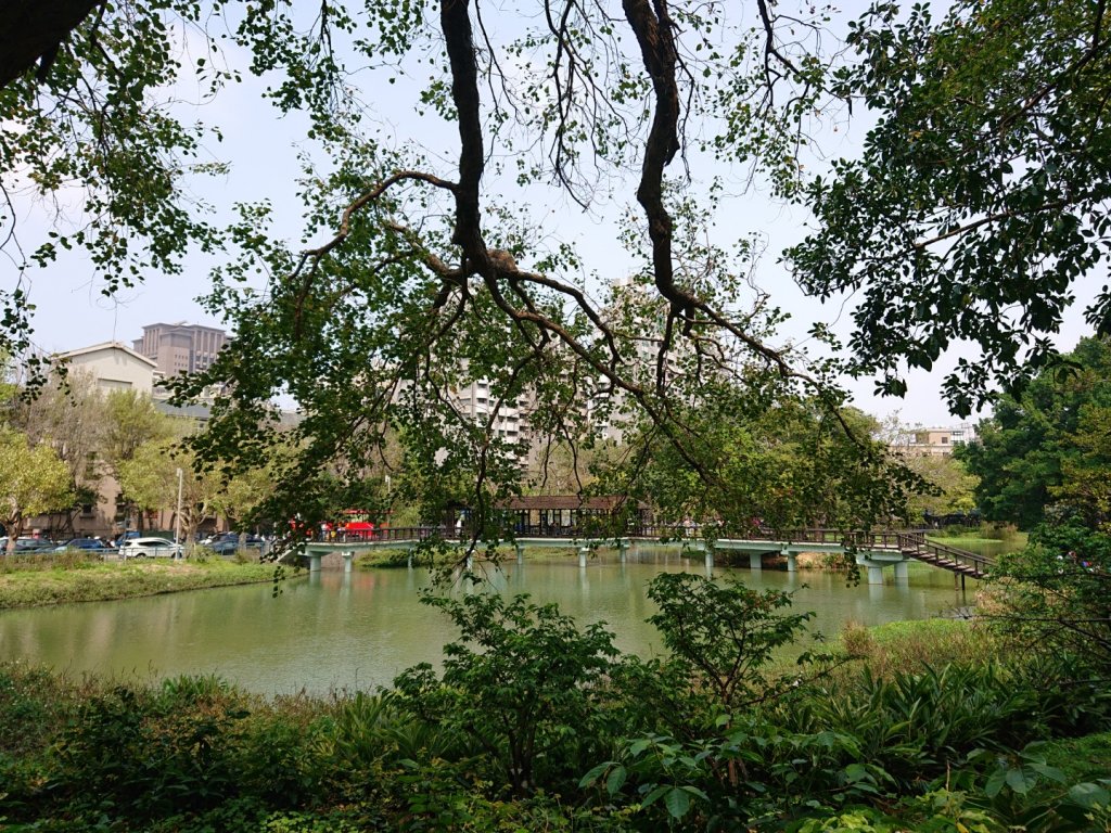 新竹公園-枕頭山_871673