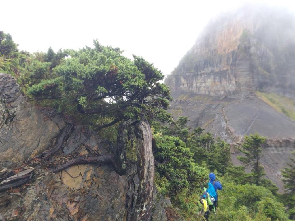 雨神登大霸_429048