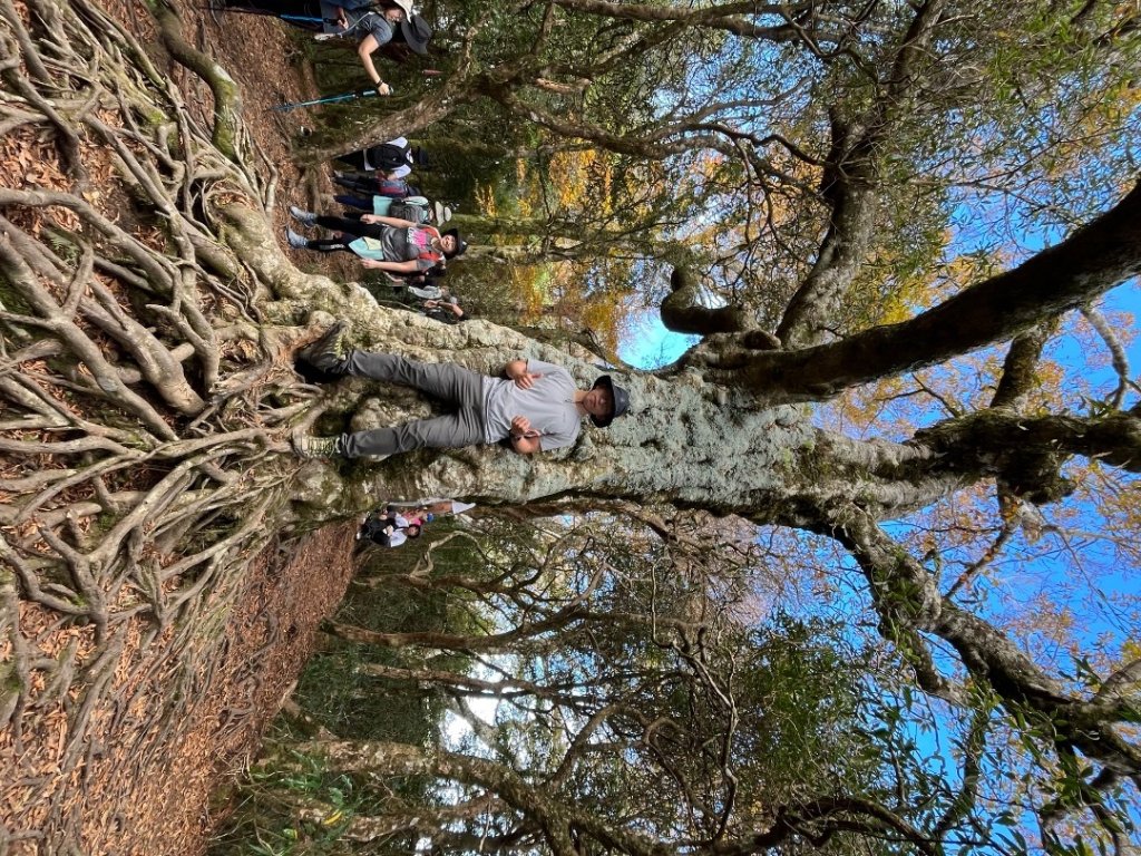 20221112_北得拉曼山_2762261