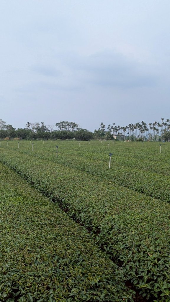 松柏坑山_2777520