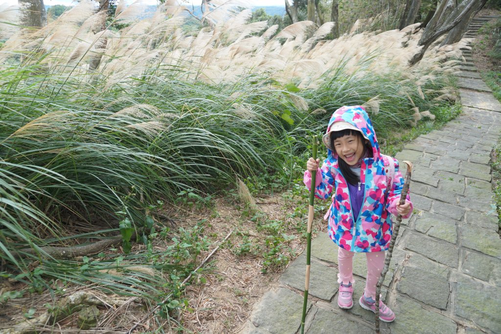 走一圈賺三條步道的九芎湖_1452434