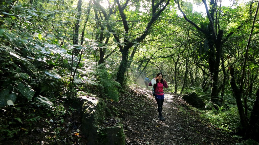 走進幽幽的歷史長廊～淡蘭古道朝聖之路_466258