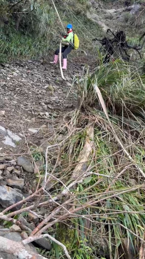 【北插天山】福山上北插天山(整理山徑架繩索布條完工)_2689882