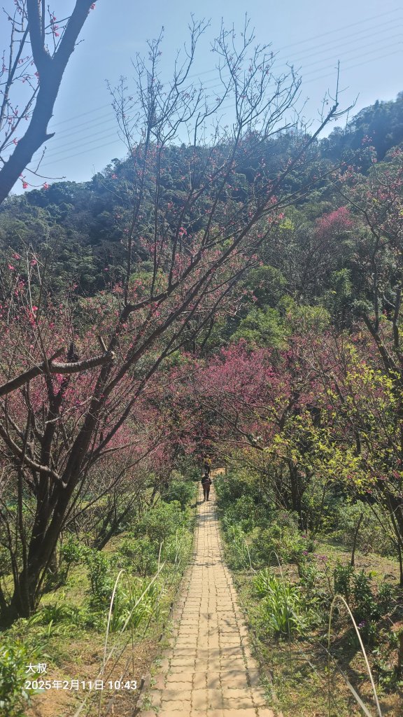 2025-0211造鎮_太極嶺_五城山小段攀爬路線_2710741