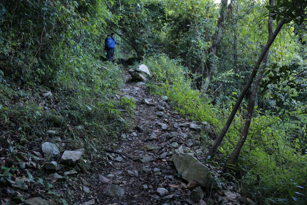 谷關七雄：新山馬崙山_178237