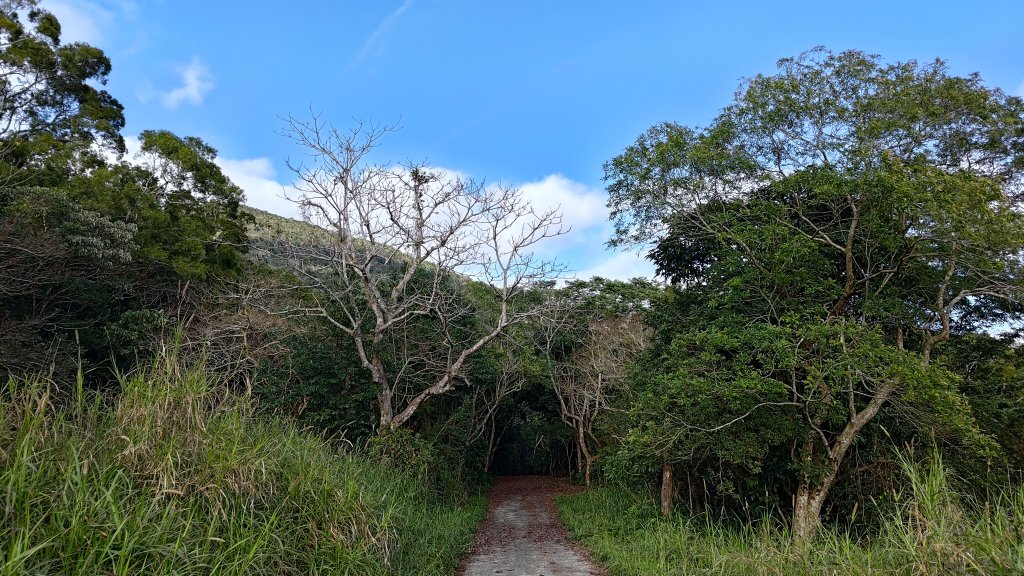 久保山、南久保山_2714446