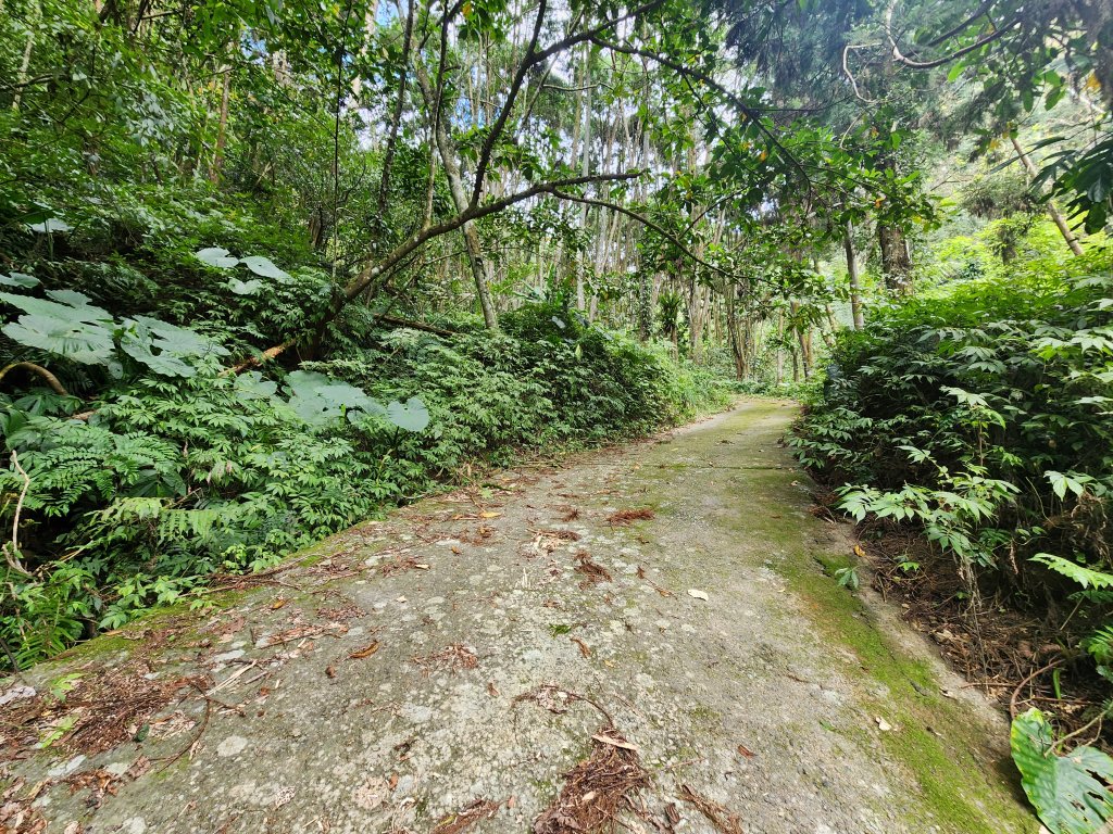 20250319大窩浪山_2771499