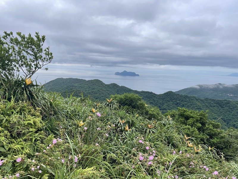 睏牛山封面圖