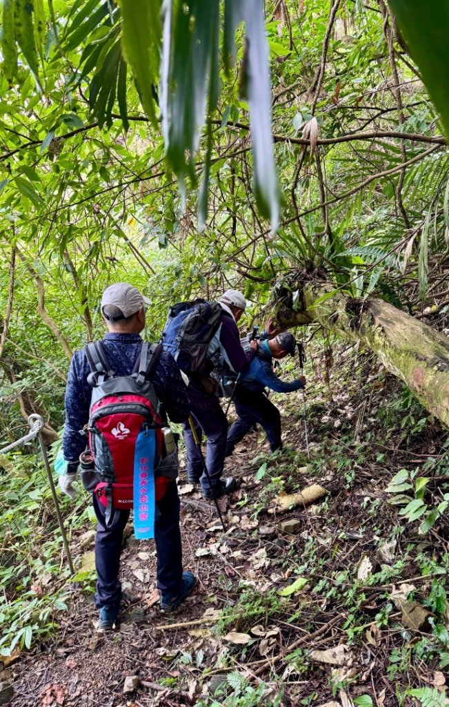 紫微聖母環山步道走六寮崙山與西南峰_2990761