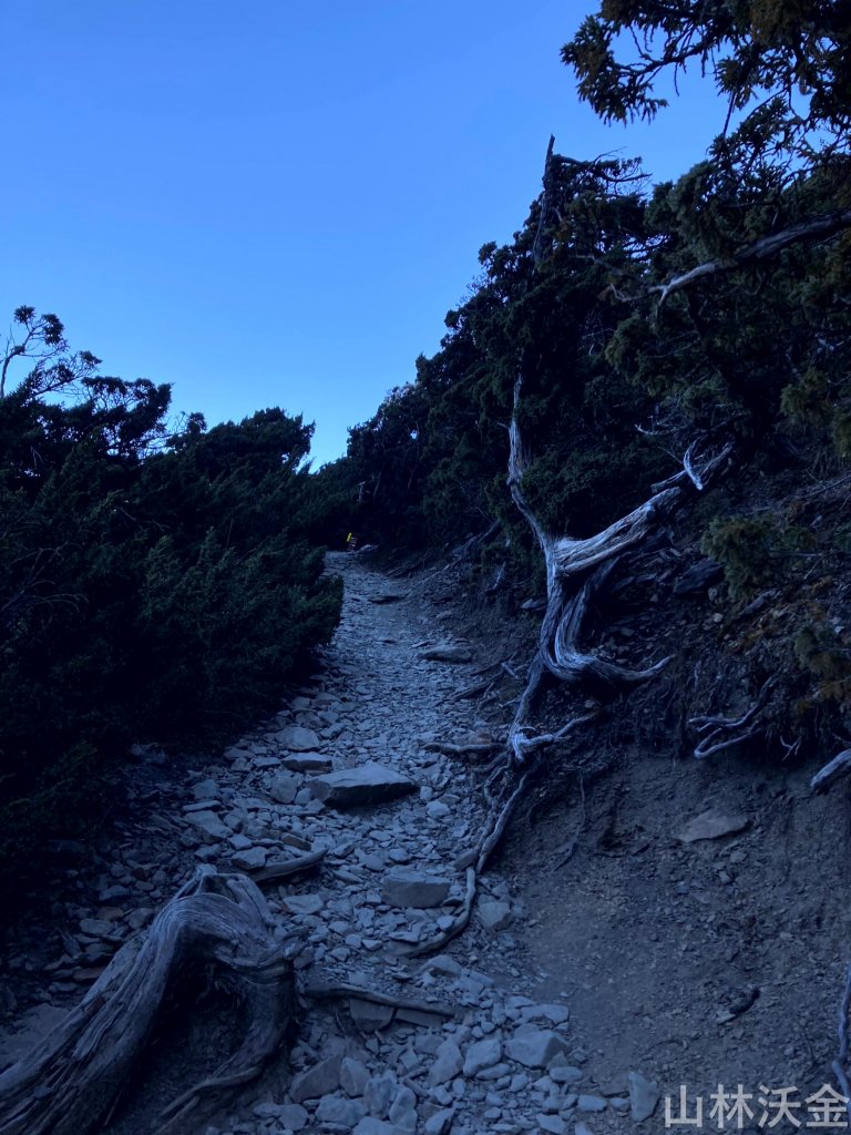 2023-11-27 玉山主峰_2365021