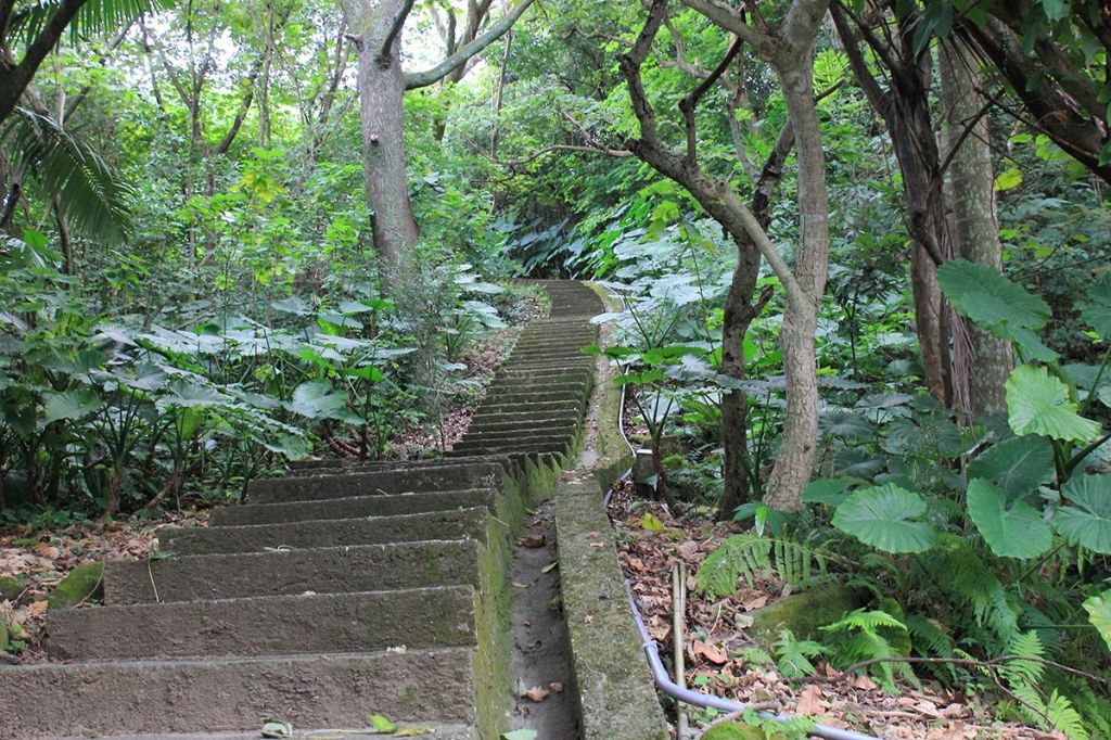 士林圓山水神社.劍潭山.老地方O型_267094