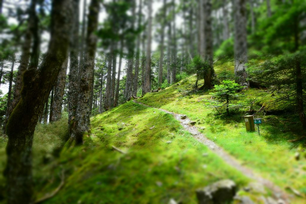 2018_08_12~14 聖稜O型3日_399631