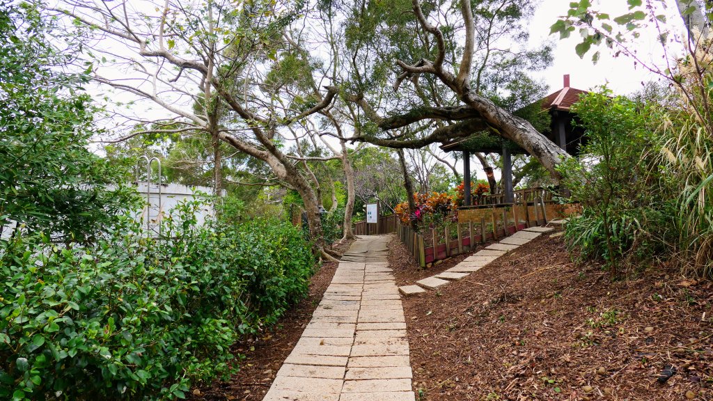 老崎古道(後花園步道)_2676849