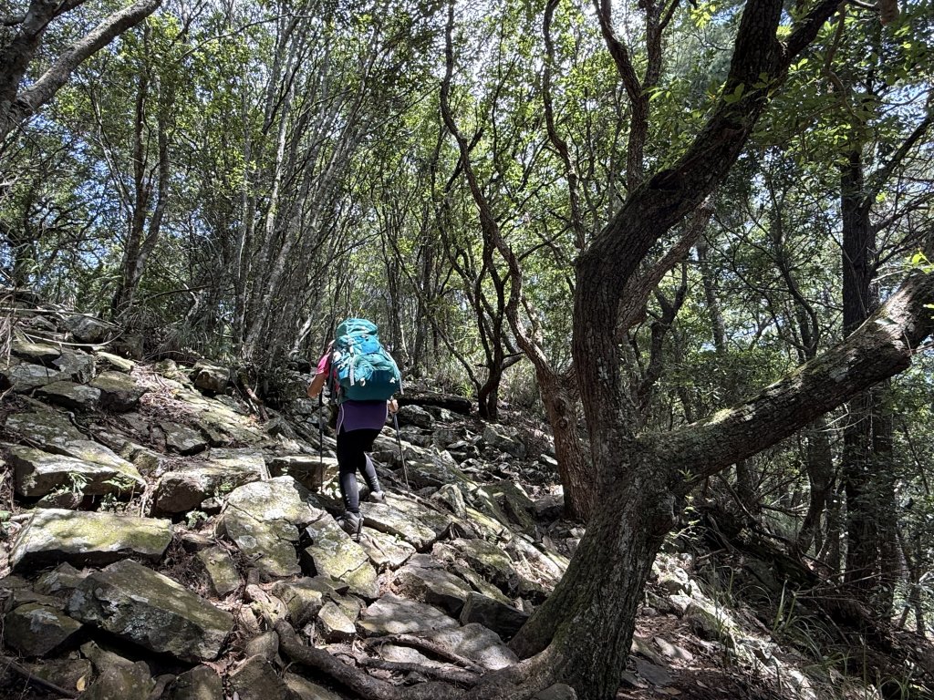 波津加山 20250914_2893376