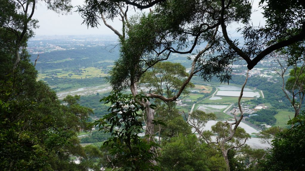 新溪洲山之樂_400333