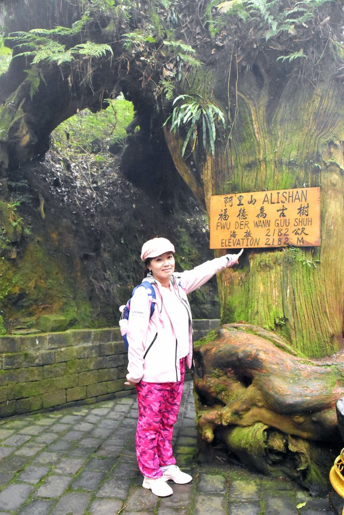 20221018公車旅人阿里山手扎:_1141989