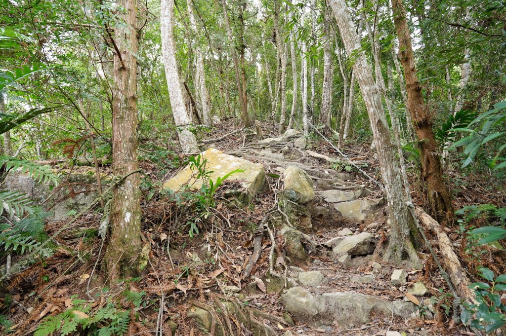 台中 和平 唐麻丹山、蝴蝶谷瀑布_2650113