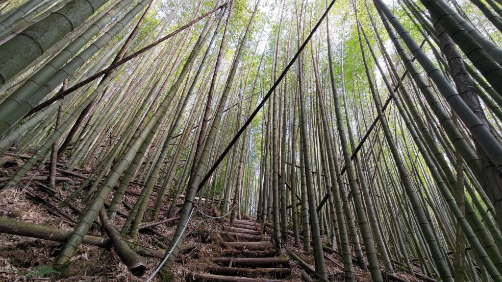 長壽山(肥崠山)1860M封面圖