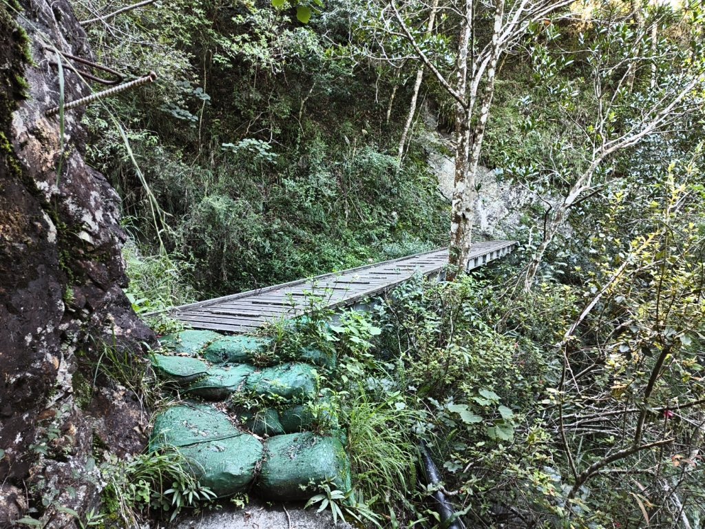 [玉山尋寶任務-07/12] 2025_0824 八通關雲龍瀑布步道_2870599