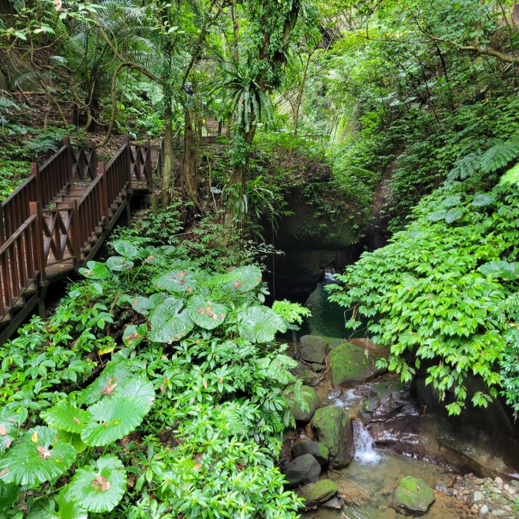 水濂橋步道封面圖