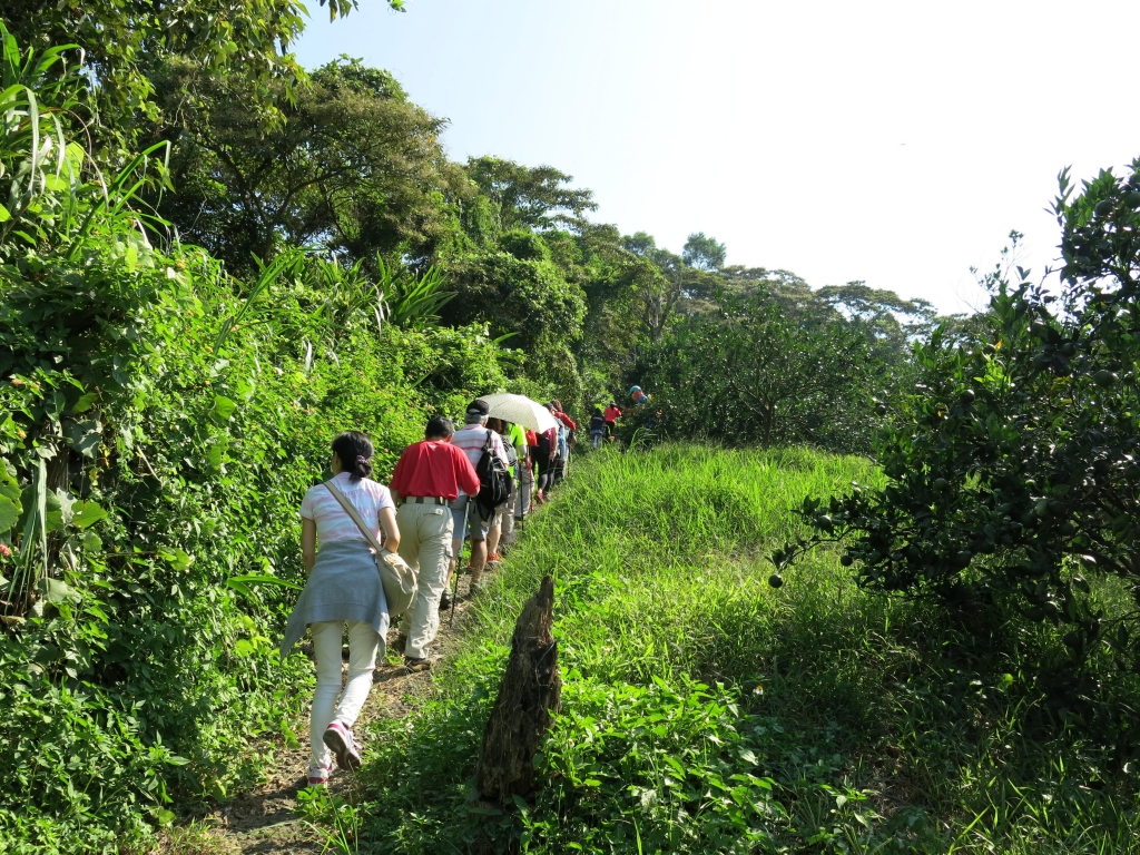 新竹小百岳～飛鳳山步道_46951