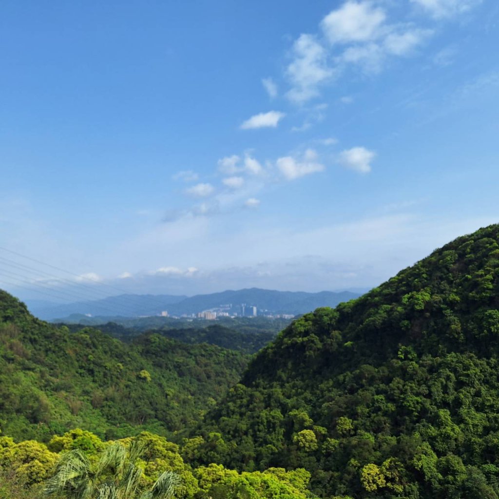 2025臺北大縱走第四段-風櫃口至大湖公園完成_2761173