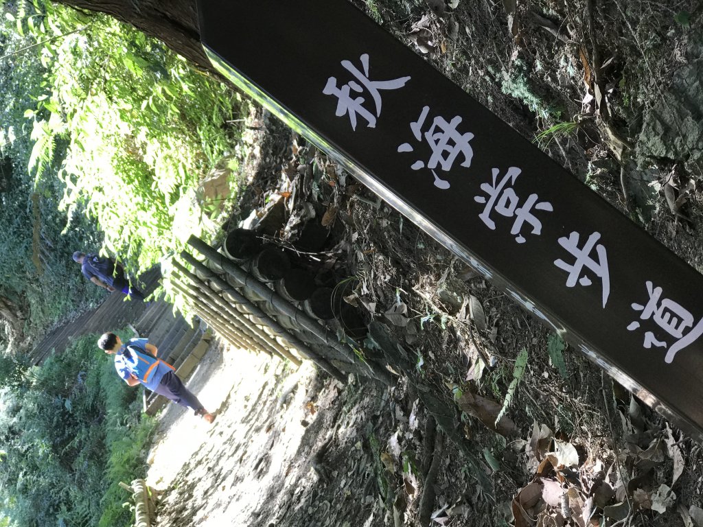 110年5月16日高雄   藤枝國家森林遊樂區_1456882