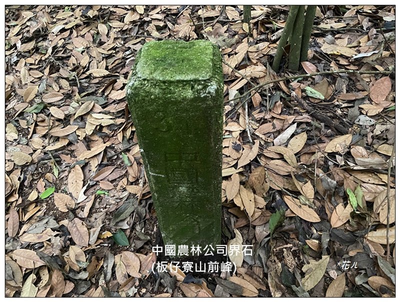 巴蜈縱走 (27.6K一日長征)_2780364