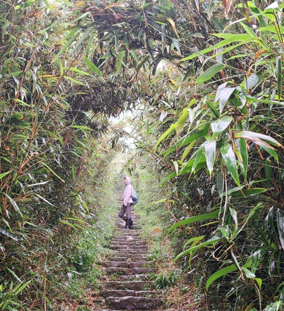 大屯主峰二子坪O型縱走封面圖