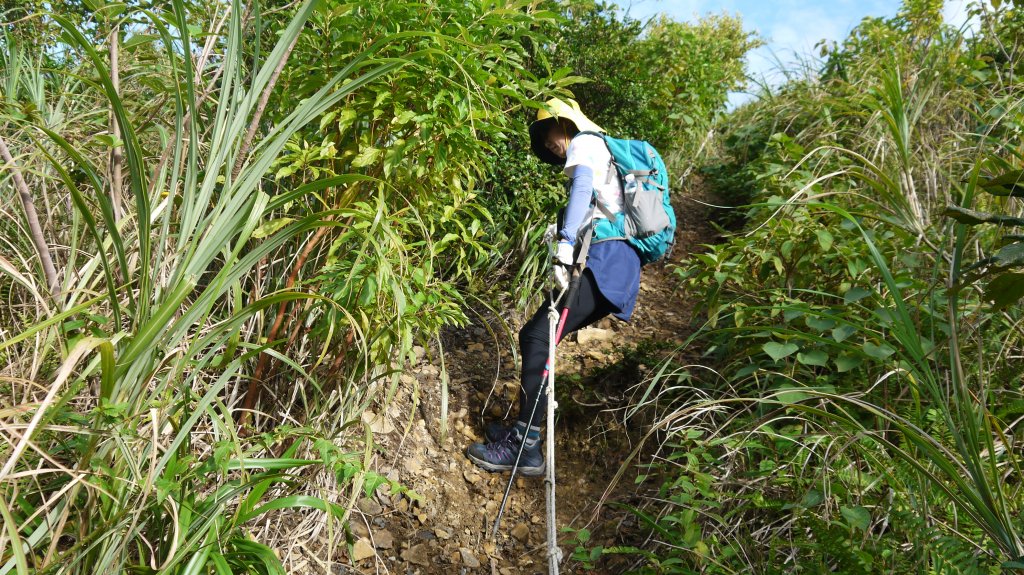 金瓜石黃金洞登山健行趣(郊山)_1519080
