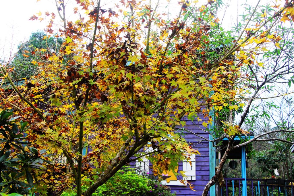 南庄 景點多 ~ 走吧 ! 登山健行休閒旅遊 ..._223405