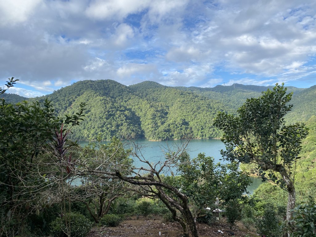 鱷魚島_1929840
