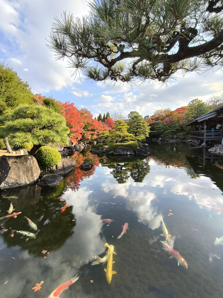 【日本健行】岡山、彥根 (近江八幡、彥根城)、姬路(書寫山圓教寺、世界遺產姬路城、好古園)_2946524