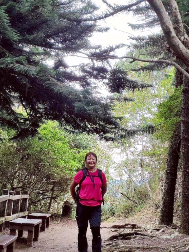 馬那邦山（珠湖登山口）_2933933