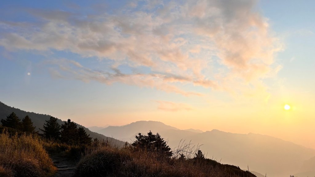 合歡東峰、小奇萊賞玉山杜鵑_2542692