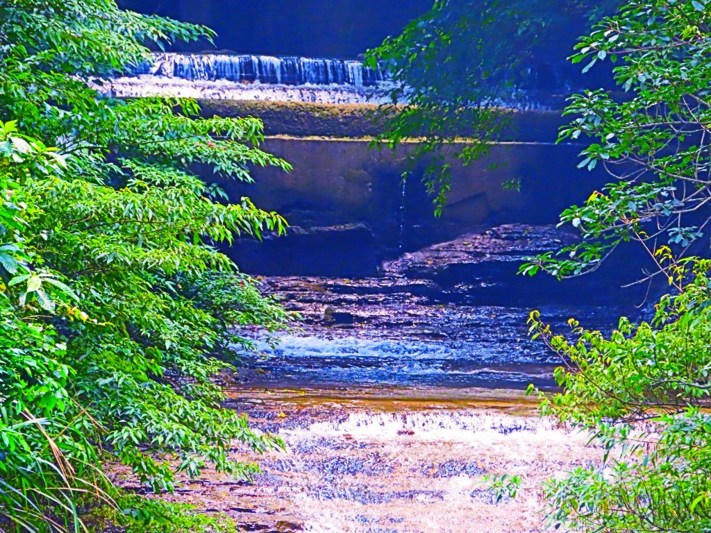 夏日水圳古道之旅：走坪頂古圳步道消暑去_637432