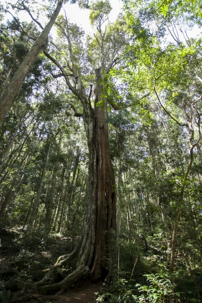 2023.03.10 八仙山_2072779