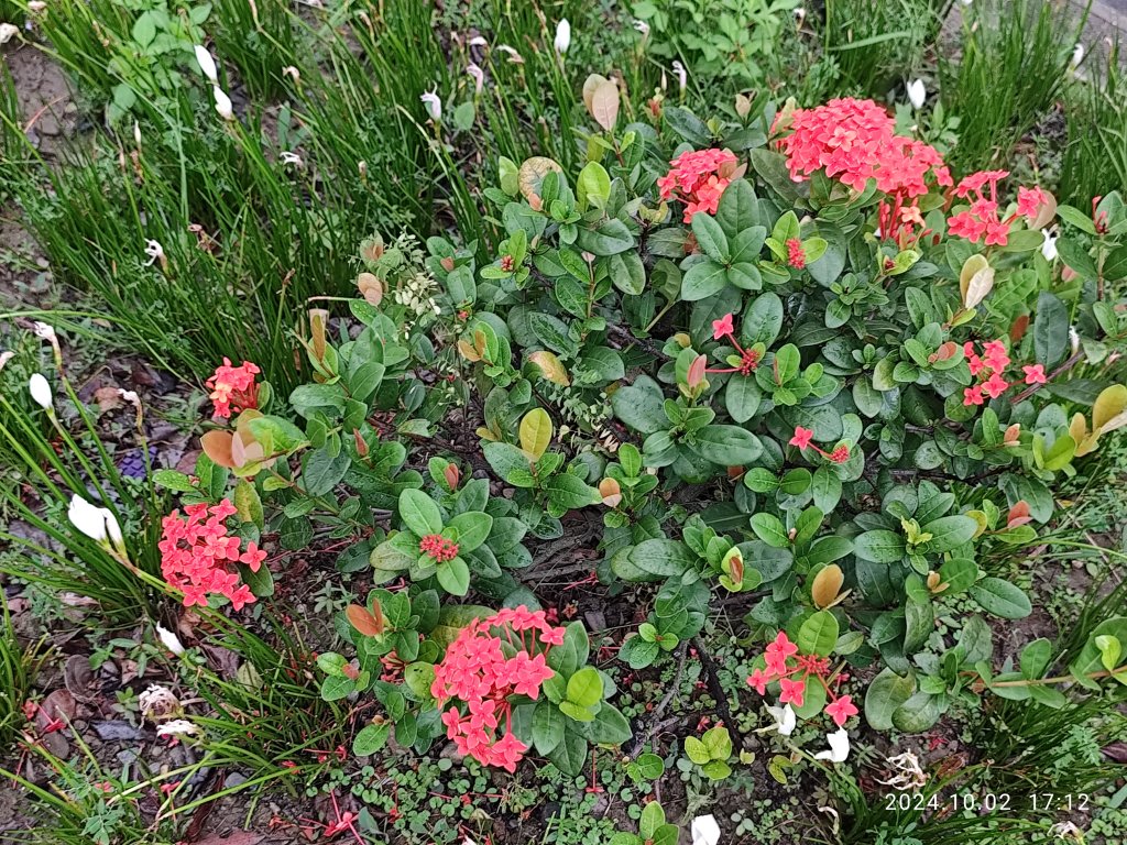 台北信義商圈步道、內湖文德三號公園、大港墘公園【走路趣尋寶】【臺北健走趣】_2612488