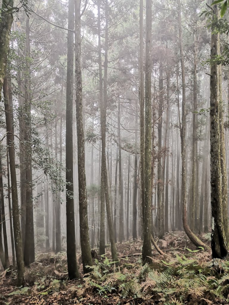 油羅山_1524283