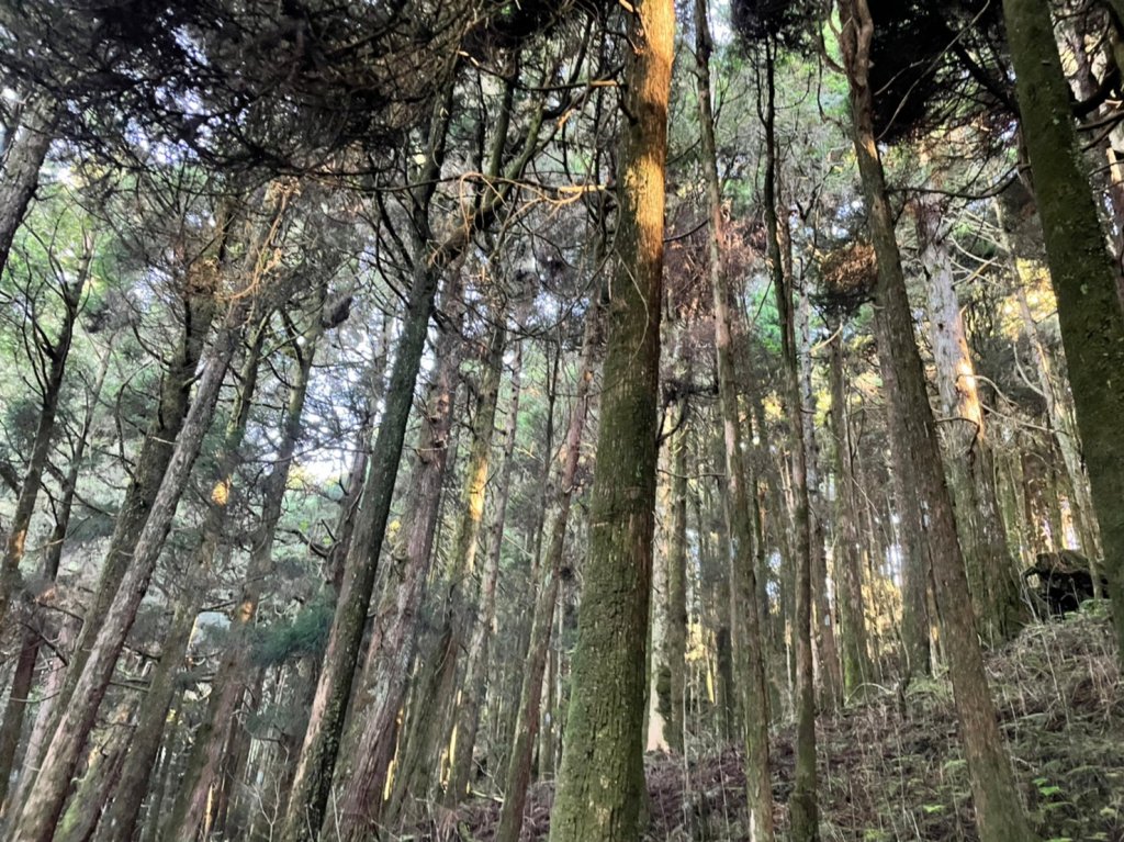 小百岳(59)-大塔山-20220925_1878626