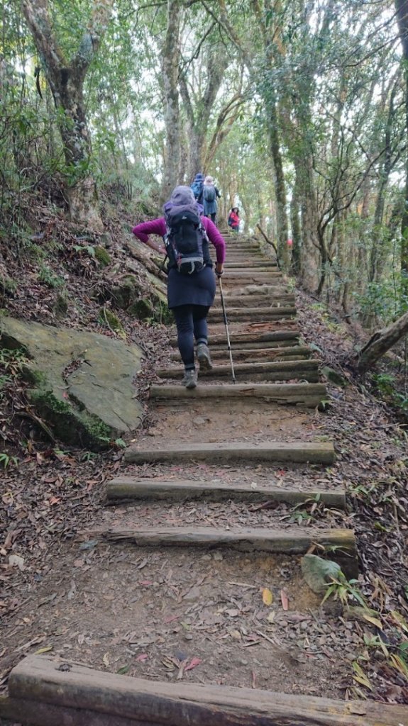 馬那邦山O走_2370097