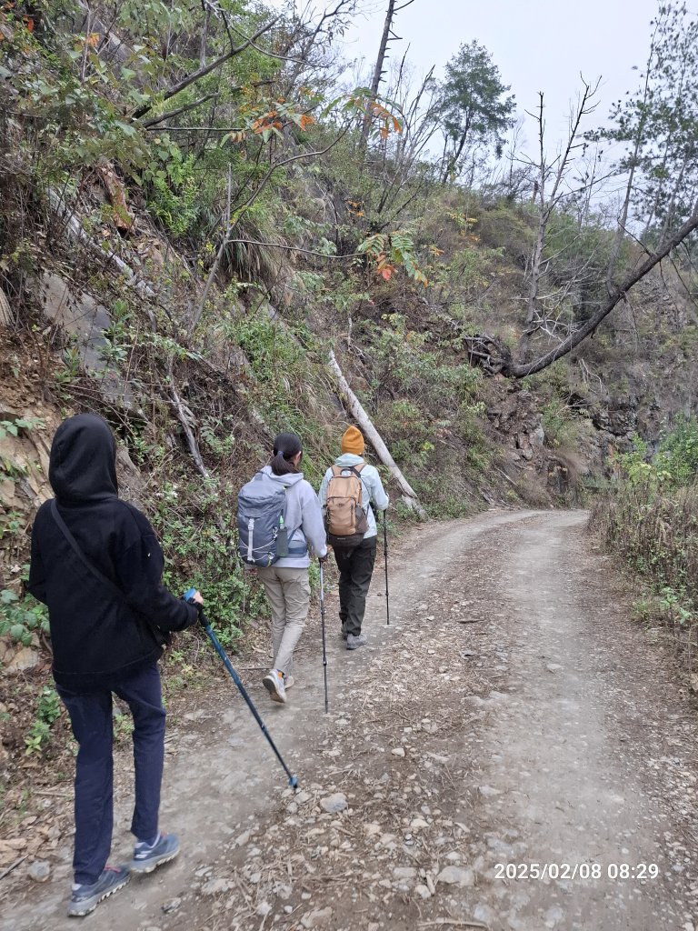 2025.02.08 限時秘境?菜市場? 北港溪峽谷步道_2709001