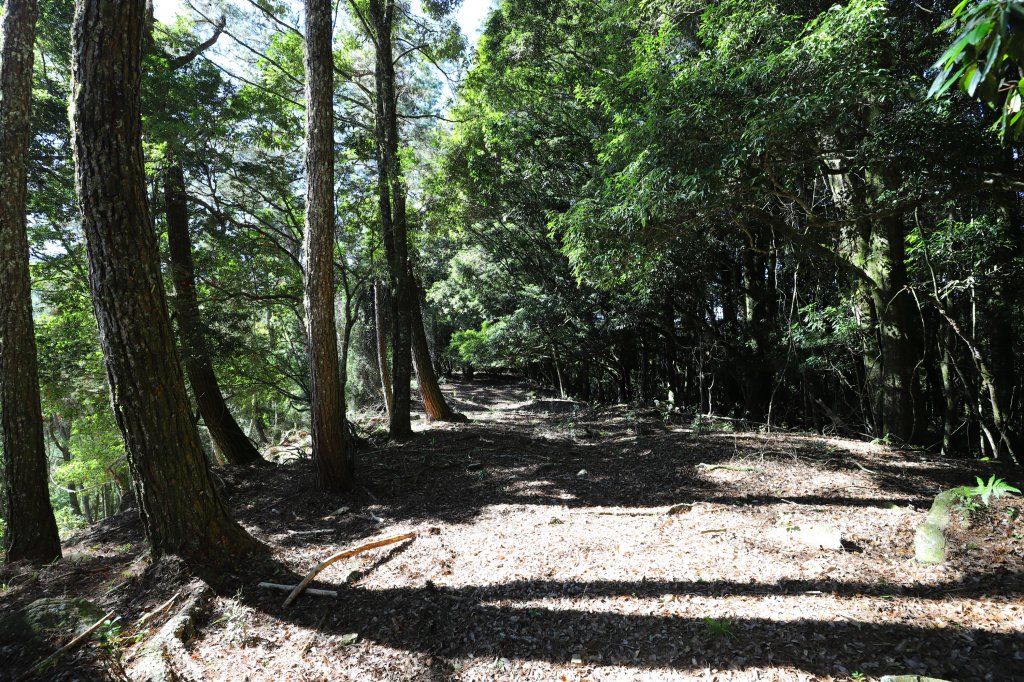 阿里山三霞 -- 楠梓仙溪左岸 南霞山_1490272