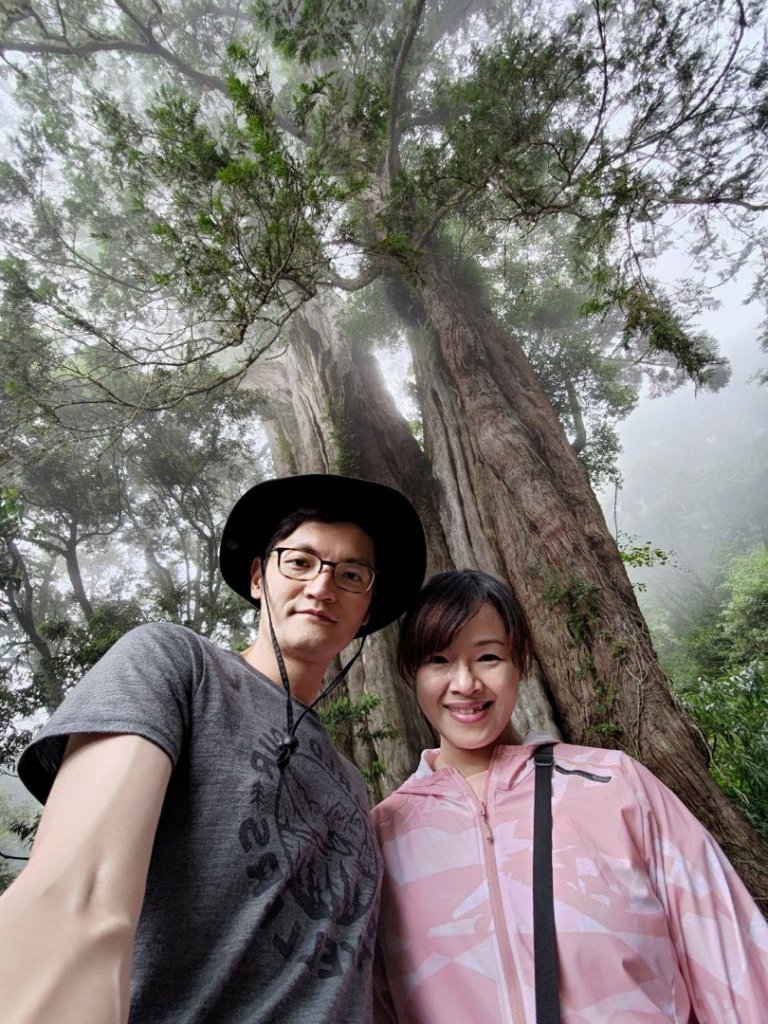 石山引水道 鹿林神木_1808953