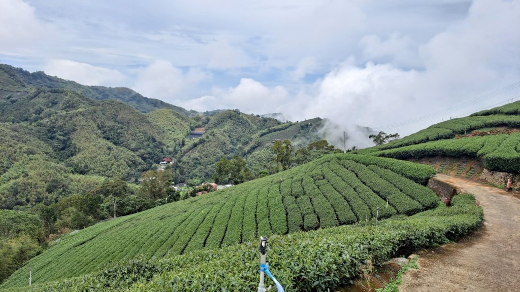 20240523嘉義梅山梨子腳山-太平老街-太平雲梯吊橋_2511298