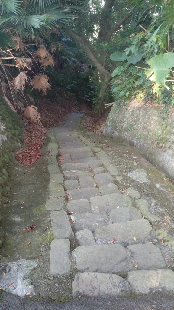齋明寺古道_1826408